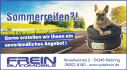 Logo Auto Frein