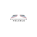 AUTOLOGISTIK FELCHLE Langenbach