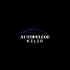 Logo AutopflegeKilic