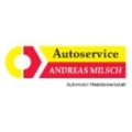 Autoservice Andreas Milsch Automobilmeisterwerkstatt Naumburg