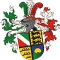 Logo AV Alania