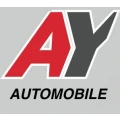 Logo Aydin