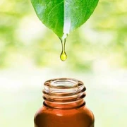 AYURVEDA HOFFMANN Ludwigsburg