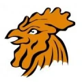 Logo B.I.S Promotion GmbH
