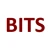 Logo Bach IT Service UG (haftungsbeschränkt)
