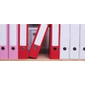 Logo Backoffice PlanB