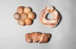 Logo Bäckerei Brückner
