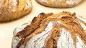 Logo Bäckerei-Konditorei Günter Mayer Bäckerei