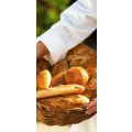 Logo B&auml;ckerei Mayer