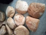 Logo Bäckerei Mohr Bäckerei