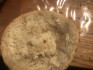 Logo Bäckerei Scheubeck