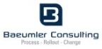 Logo Baeumler Consulting