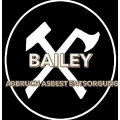 BAILEY Abbruch Asbest Entsorgung Berlin