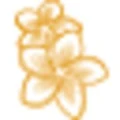 Logo Bali Therme GmbH Michael K&ouml;rtner