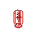 Logo Ballett und Tanz in Nikolassee Inh. Carola Vogl