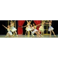 Logo Ballettschule Kashcheeva