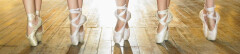 Logo Ballettschule Madelaine Hötger-Wrona Ballett Modern Dance Jazz HipHop Stepptanz Fitness