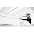 Logo Ballettschule tanzwerk wuppertal Ballett & Tanztheater