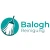 Logo Balogh Reinigung Hausreinigungsdienst in Dortmund