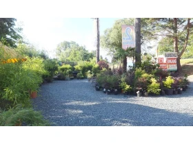 bambus gartenzaun sichtschutz Bambus-Sichtschutzzaun Brasil | Natur
