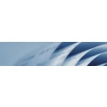 Logo Koch, Barbara