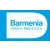 Logo Barmenia Versicherungsagentur Geibig OHG