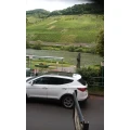 Barzen Thomas Weingut Haus Karina Weingut Reil