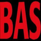 Logo BAS Consulting GmbH