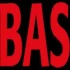 Logo BAS Consulting GmbH