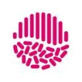 Logo BASEG werbung + kommunikation GmbH