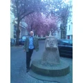 Baubiologie Schumacher Bonn