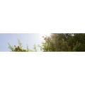 Logo Baugenossenschaft M&uuml;nchen-S&uuml;d eG
