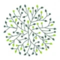 Logo Baum & Raum Inh. Mark Heftrich
