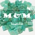 Logo Baumaxxl Mosaik & More