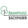 Baumpflege Bachmann GbR Gro&szlig; Molzahn