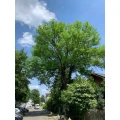 5be94d14-d574-476e-8ce6-69520cbfa282.png