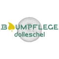 Baumpflege Dolleschel Bodolz