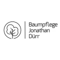 Baumpflege D&uuml;rr Rostock