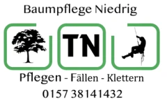 Baumpflege Niedrig &ndash; Tim Niedrig Rheinberg