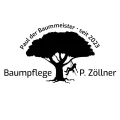 Baumpflege P. Z&ouml;llner Dohna