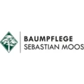 Baumpflege Sebastian Moos Sankt Leon-Rot
