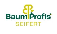 BaumProfis Seifert Muldestausee