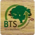 Logo Baumteam Schuhmann