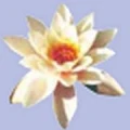 Logo Bayan`s Massagen