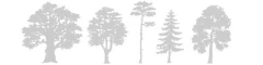 Logo Bayer Fenster Türentechnik GmbH