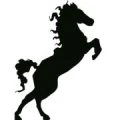 Logo BBS-GmbH Steuerberatungsgesellschaft