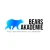 Logo BEARS Akademie