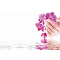 Logo Beates BeautY Nails