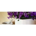 Logo Berndt, Beatrix