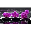 Beautiful Fine Nails by Aline Saarbr&uuml;cken